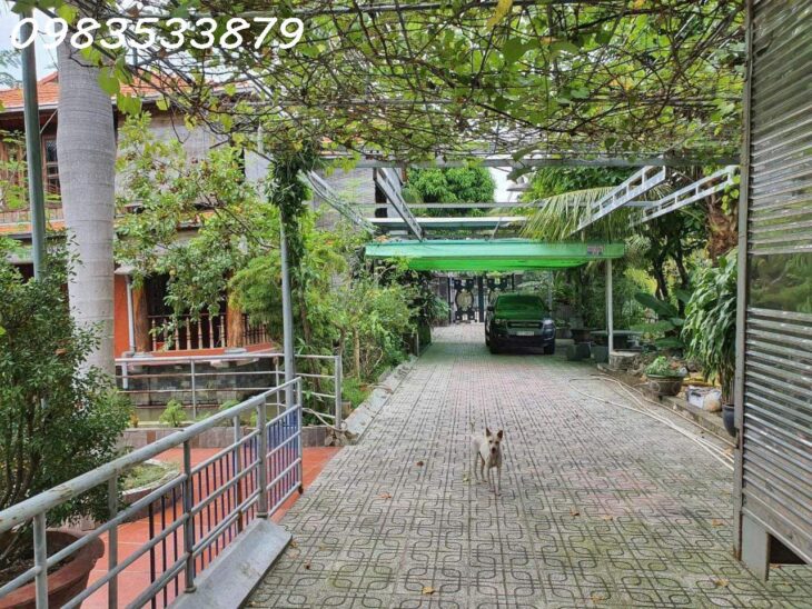 BÁN BIỆT THỰ 1100M2, VĨNH PHÚ 16, THUẬN AN, BÌNH DƯƠNG – GIÁ 16.9 TỶ – TẶNG TOÀN BỘ NỘI THẤT