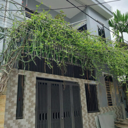 Bán Nhà Gần Biển Tại kiệt Trần Cao Vân, gần công an phường Xuân Hà, Q Thanh Khê, TP Đà Nẵng.