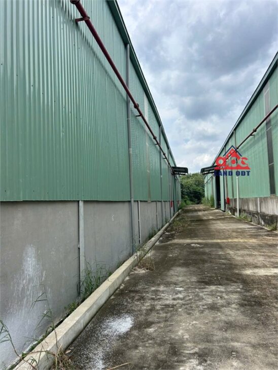 XT447 nhà xưởng độc lập khuôn viên cán nền bê tông, cho thuê lâu dài SX đa ngành