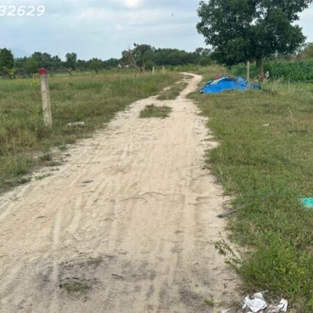 Bán 1000m2 đất Tân Bình – TX LaGi 300m2 ONT Gần Biển GIÁ NGỘP 2 TỶ