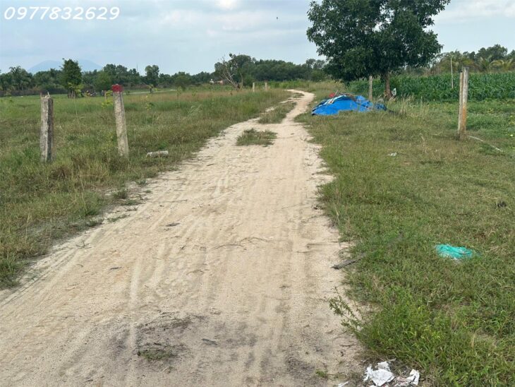Bán 1000m2 đất Tân Bình – TX LaGi 300m2 ONT Gần Biển GIÁ NGỘP 2 TỶ