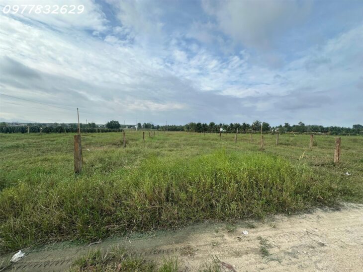 Bán 1000m2 đất Tân Bình – TX LaGi 300m2 ONT Gần Biển GIÁ NGỘP 2 TỶ