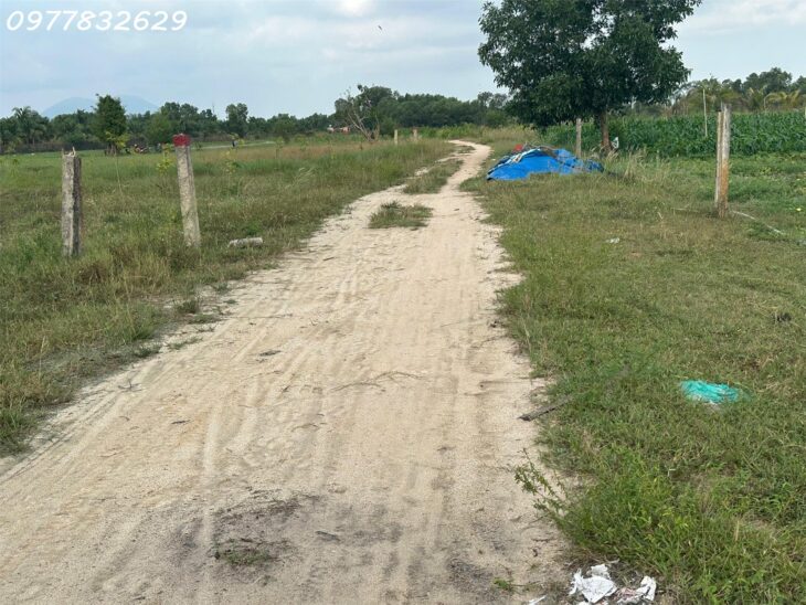 Bán 1000m2 đất Tân Bình – TX LaGi 300m2 ONT Gần Biển GIÁ NGỘP 2 TỶ