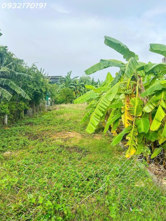 Cách Đường Hà Huy Tập 200m- trung tâm P.Nghĩa Phú- Full thổ cư- GẦN CÁC DỰ ÁN LƠN.