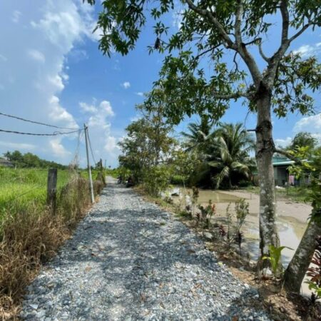 Cần Bán 3.390m2 đất lúa view kênh lớn tại ấp Bình Điện, xã Bình Tịnh, Tân Trụ – Tỉnh Long An.