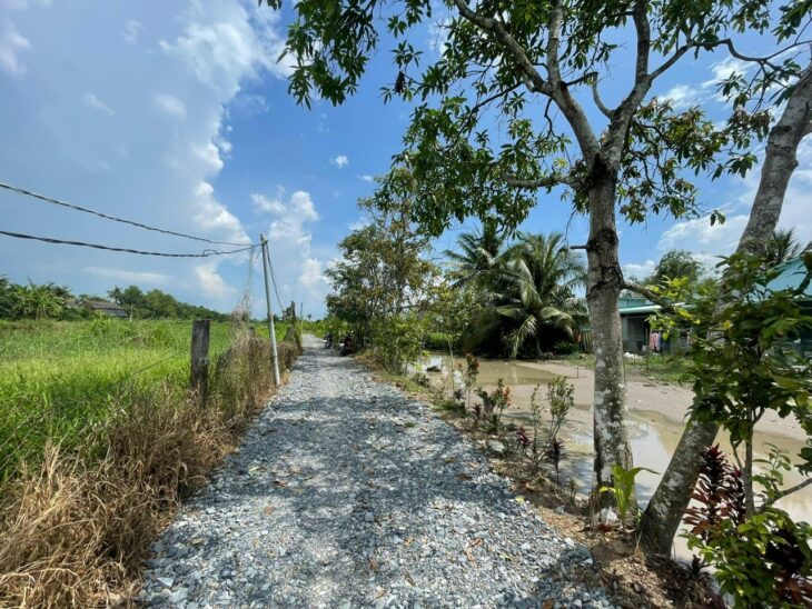 Cần Bán 3.390m2 đất lúa view kênh lớn tại ấp Bình Điện, xã Bình Tịnh, Tân Trụ – Tỉnh Long An.