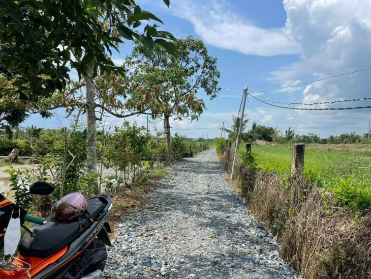 Cần Bán 3.390m2 đất lúa view kênh lớn tại ấp Bình Điện, xã Bình Tịnh, Tân Trụ – Tỉnh Long An.