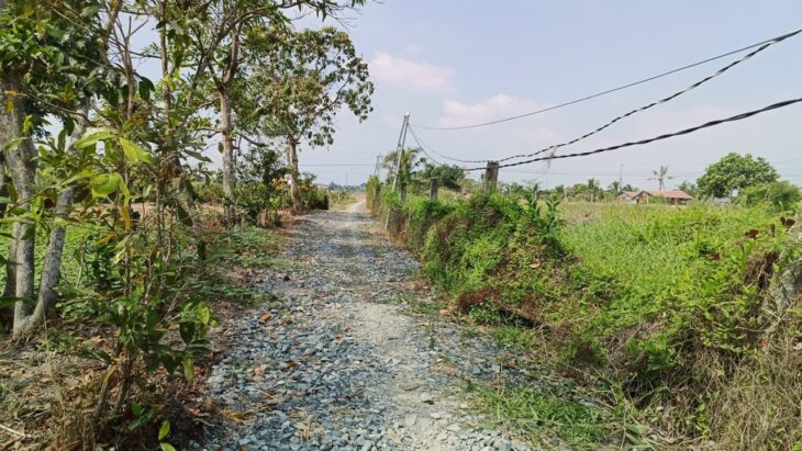 Cần Bán 3.390m2 đất lúa view kênh lớn tại ấp Bình Điện, xã Bình Tịnh, Tân Trụ – Tỉnh Long An.