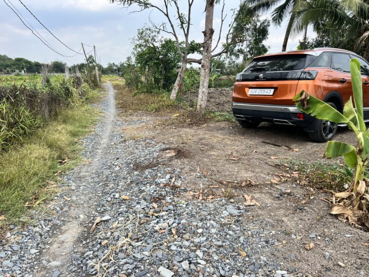 Cần Bán 3.390m2 đất lúa view kênh lớn tại ấp Bình Điện, xã Bình Tịnh, Tân Trụ – Tỉnh Long An.