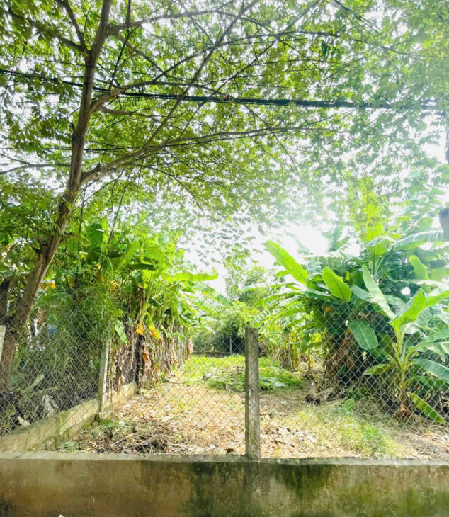 ???? Bán Măt tiền kiệt 171 Nguyễn Lộ Trạch, Xuân Phú, Tp Huế 2,xx Tỷ