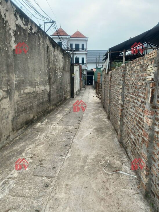 SIÊU PHẨM GIÁ 3,3 TỶ ĐẤT TẠI ĐỒNG MAI-HÀ ĐÔNG D/T:55,4M