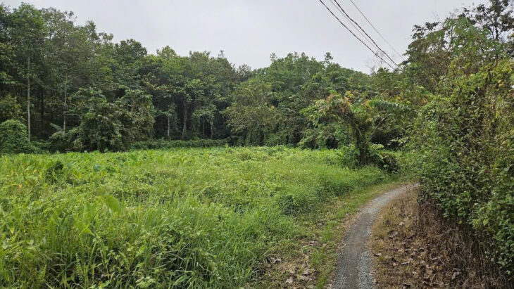 BÁN ĐẤT Ở THỔ CƯ HIỆP HÒA – BIÊN HÒA – ĐỒNG NAI – 2800M2 – GIÁ HỜI 13.5 TỶ – SỔ HỒNG