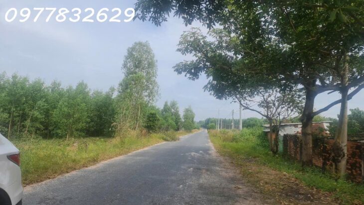 HÀNG NGỢP! 3.8 mẫu đất đường Cù Chính Lan – Tân Bình – TX LaGi chỉ 657 triệu/ sào