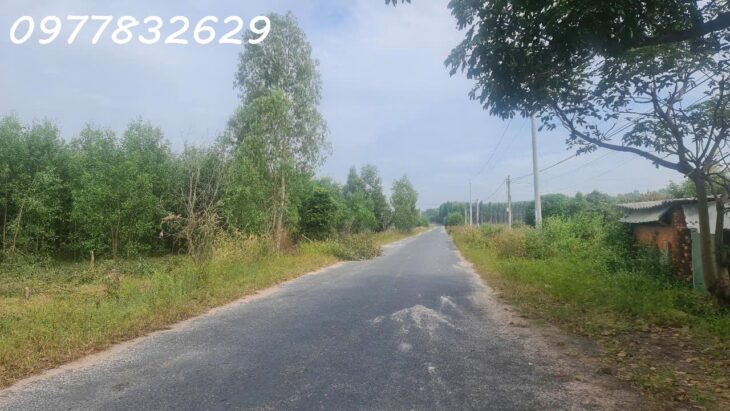 HÀNG NGỢP! 3.8 mẫu đất đường Cù Chính Lan – Tân Bình – TX LaGi chỉ 657 triệu/ sào