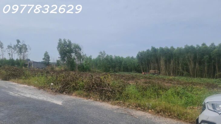 HÀNG NGỢP! 3.8 mẫu đất đường Cù Chính Lan – Tân Bình – TX LaGi chỉ 657 triệu/ sào