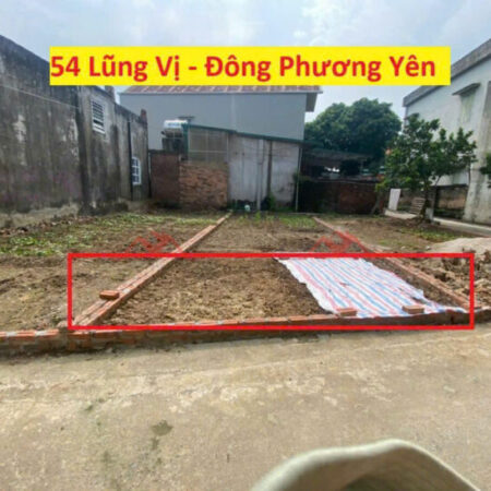 SIÊU PHẨM GIÁ 1,7 TỶ TẠI ĐÔNG PHƯƠNG YÊN-CHƯƠNG MỸ D/T:54M SIÊU PHẨM GIÁ 1,7 TỶ TẠI ĐÔNG PHƯƠNG YÊN-CHƯƠNG MỸ D/T:54M
