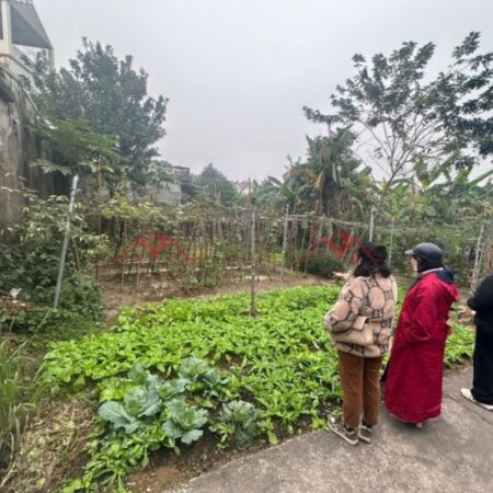 SIÊU PHẨM GIÁ 4,3 TỶ ĐẤT TẠI HỢP ĐỒNG TL419-CHƯƠNG MỸ-HÀ NỘI D/T:597M SIÊU PHẨM GIÁ 4,3 TỶ ĐẤT TẠI HỢP ĐỒNG TL419-CHƯƠNG MỸ-HÀ NỘI D/T:597M