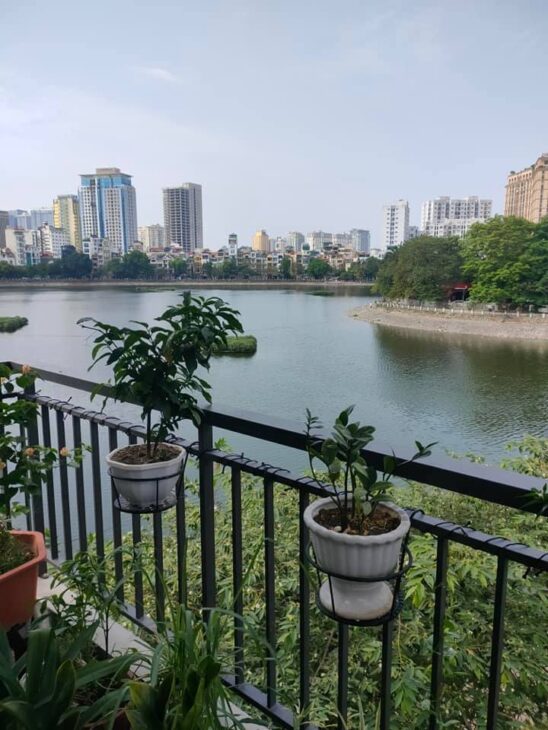 Nhà Phố Đặng Tiến Đông, VIEW HỒ HOÀNG CẦU, 76m2 3T MT 4.5m, GIÁ RẺ chỉ 21 tỷ