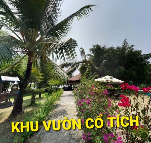Siêu BIỆT PHỦ 5000m2 có 37 tỷ Ba Sa Phước Hiệp Củ Chi Tp. Hồ Chí Minh