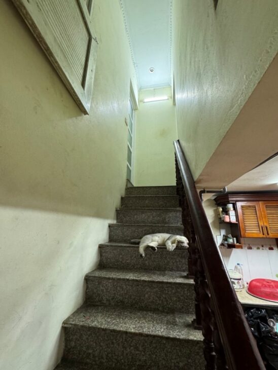 BÁN NHÀ ĐỊNH CÔNG HẠ, HOÀNG MAI, CÁCH 1 NHÀ RA Ô TÔ, 45M2, 5.95 TỶ(CTL)