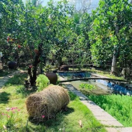 Vỡ nợ cần bán lỗ 3500 m2. giá 310tr đường 10m, có nhà vườn nhỏ.