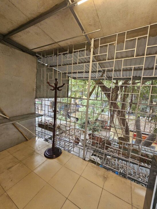 Bán căn tập thể tầng 3 phố Nguyễn Công Trứ, 60m2, 2pn, Nhỉnh 3 tỷ.