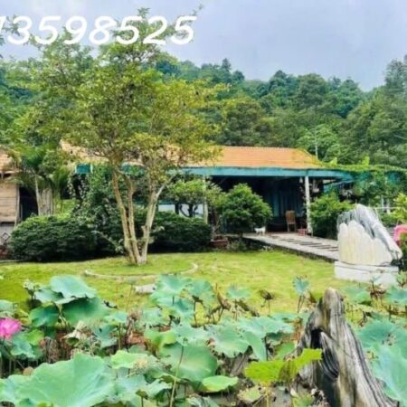 Nhà vườn nghỉ dưỡng 1700M2 bán đủ 290TR Sổ Sẵn lh: 0913598525