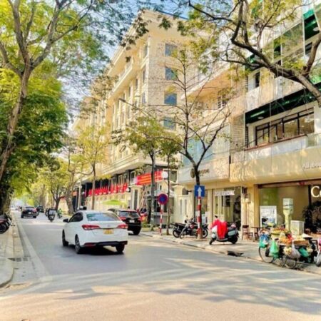 Đường Bưởi Ba Đình – ô tô tránh – văn phòng – 124m chỉ 23 tỷ Đường Bưởi Ba Đình – ô tô tránh – văn phòng – 124m chỉ 23 tỷ