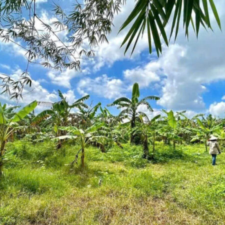 BÁN ĐẤT CHÍNH CHỦ – VIEW HỒ TRỊ AN- LA NGÀ- ĐỊNH QUÁN- ĐỒNG NAI