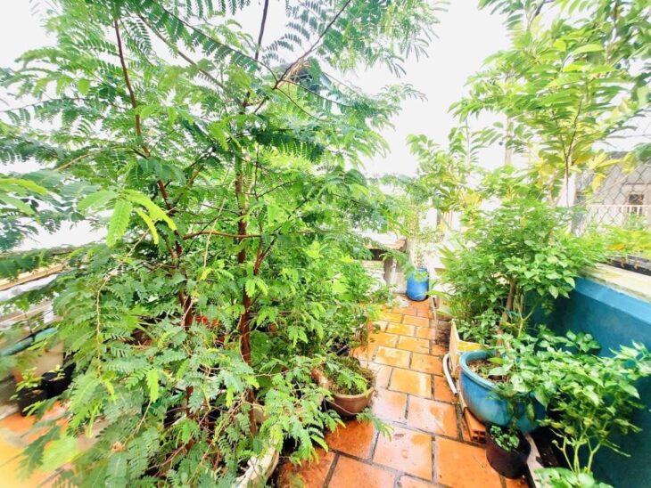 Bán nhà Mặt tiền 30m, vỉa hè 7m, đường Phan Anh – 80m2 – 3 tầng – Ko lộ giới – 13.9 tỷ