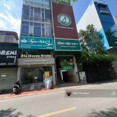 Bán gấp tòa Building mặt phố Nguyễn Khang, dòng tiền 1.8 tỷ/năm, thông sàn, vỉa hè rộng, PCCC đầy Bán gấp tòa Building mặt phố Nguyễn Khang, dòng tiền 1.8 tỷ/năm, thông sàn, vỉa hè rộng, PCCC đầy