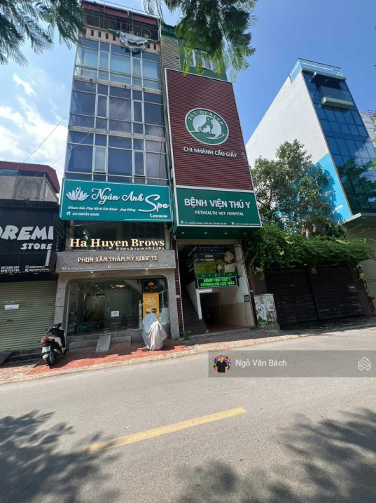 Bán gấp tòa Building mặt phố Nguyễn Khang, dòng tiền 1.8 tỷ/năm, thông sàn, vỉa hè rộng, PCCC đầy