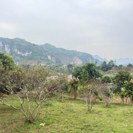 Cần bán mảnh đất 710m2 tại Bản Lùn Mường Sang Mộc Châu. Giá tốt nhất tại khu vực.