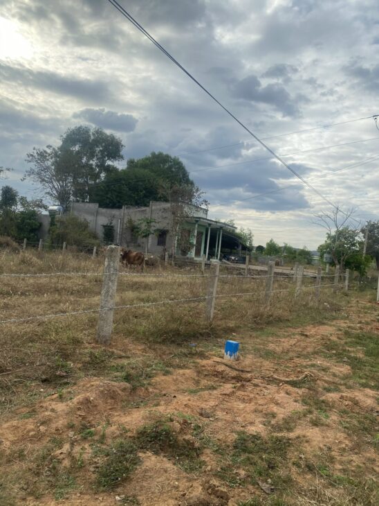 CHÍNH CHỦ 5000M2 CLN MẶT TIỀN QL 711 HÀM THUẬN BẮC, PHAN THIẾT, NGAY 37M, ĐƯỜNG 20M (QUY HOẠCH LÀ