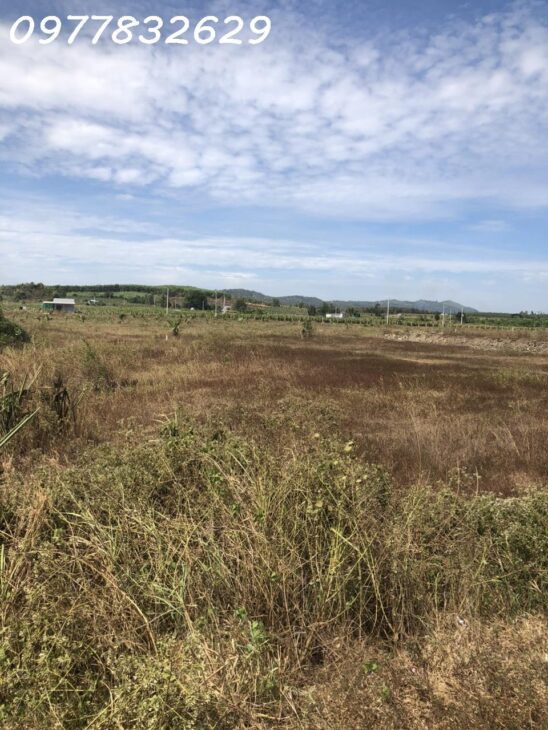 Bán 1.7 hecta đất có 90m mặt tiền Quốc Lộ 55 – Hàm Tân giảm sốc 60% chỉ 420tr/ 1000m2