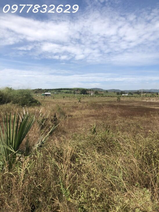 Bán 1.7 hecta đất có 90m mặt tiền Quốc Lộ 55 – Hàm Tân giảm sốc 60% chỉ 420tr/ 1000m2