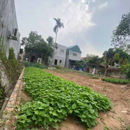 BÁN ĐẤT HIỀN NINH 80M2, MT5,5M FULL THỔ CƯ. ĐƯỜNG 4M. CHỈ 2.16 TỶ