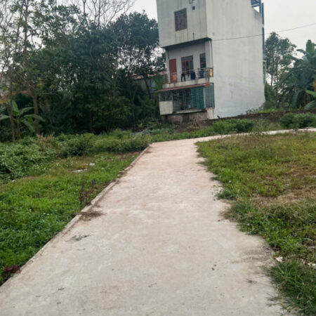 CẦN TIỀN BÁN GẤP ĐẤT PHÚC THỌ, TC NHỈNH 700TR. SẴN SỔ GIAO DỊCH