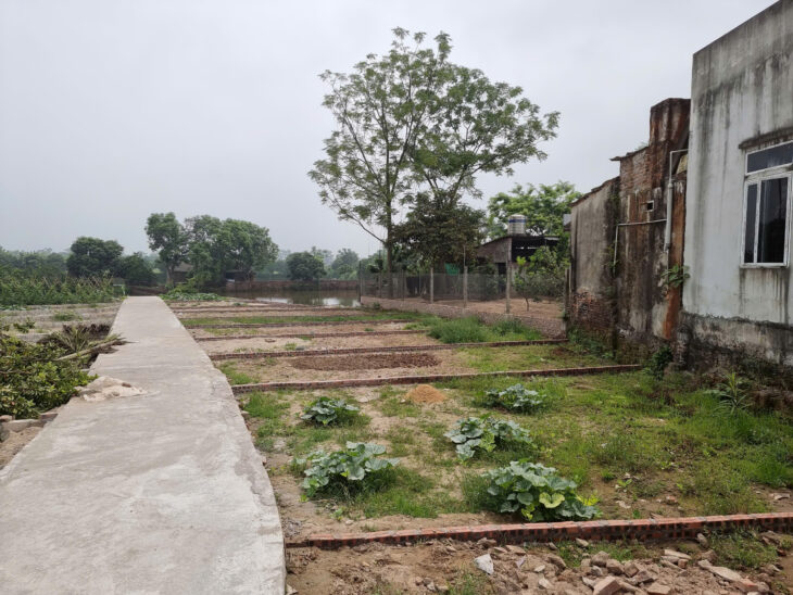 CẦN TIỀN BÁN GẤP ĐẤT PHÚC THỌ, TC NHỈNH 700TR. SẴN SỔ GIAO DỊCH