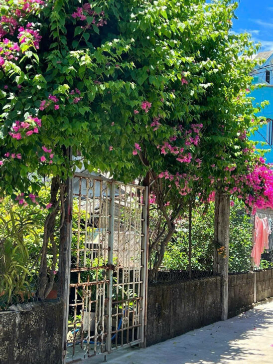 Giá Quá Tốt. Bán Đất Mặt tiền kiệt đường Tùng Thiện Vương, Vỹ Dạ cách PVĐ 30m