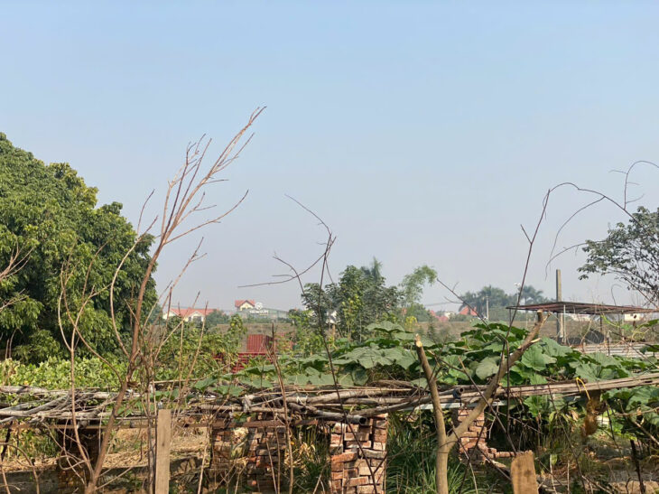 84m đất Hải Bối, Đông Anh. Mặt tiền quyền lực, rộng 8,7m. giá 6.72 tỷ