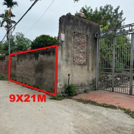 Bán Đất Tại Mai Đình Hiệp Hòa Bắc Giang 9m*21 chỉ 1,5 tỷ Bán Đất Tại Mai Đình Hiệp Hòa Bắc Giang 9m*21 chỉ 1,5 tỷ