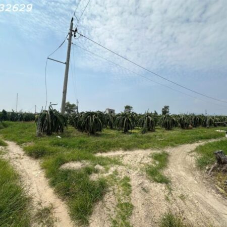 Bán gấp 145m x 84m đất ONT Lô 2 Lý Thái Tổ – Tân Tiến – TX LaGi gần Biển chỉ 1.5tr/m2 Bán gấp 145m x 84m đất ONT Lô 2 Lý Thái Tổ – Tân Tiến – TX LaGi gần Biển chỉ 1.5tr/m2