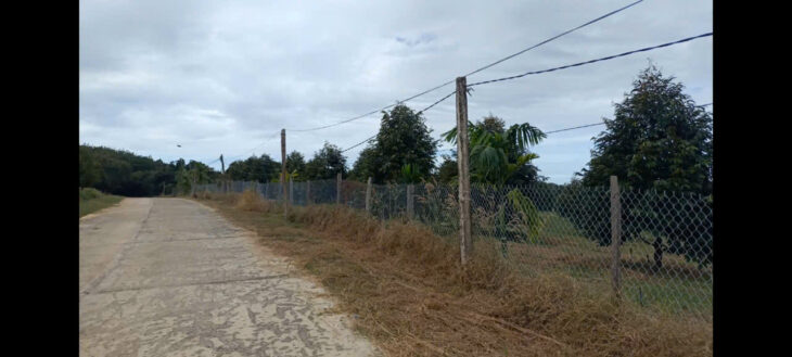 Chính chủ cần bán lô đất sầu riêng view hồ nghỉ dưỡng tại xã Bình Thắng Bù Gia Mập Bình Phước