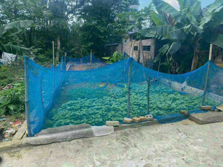Bán đất tại TĐC Vai Réo, 93m2 giá 3.7 tỷ. Đất nằm trong lõi đô thị vệ tinh Hoà Lạc