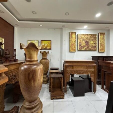 MẶT TIỀN KD SIÊU ĐỈNH LÊ VĂN THỌ – QUANG TRUNG – GÒ VẤP– DÒNG TIỀN 300 TRIỆU/NĂM.