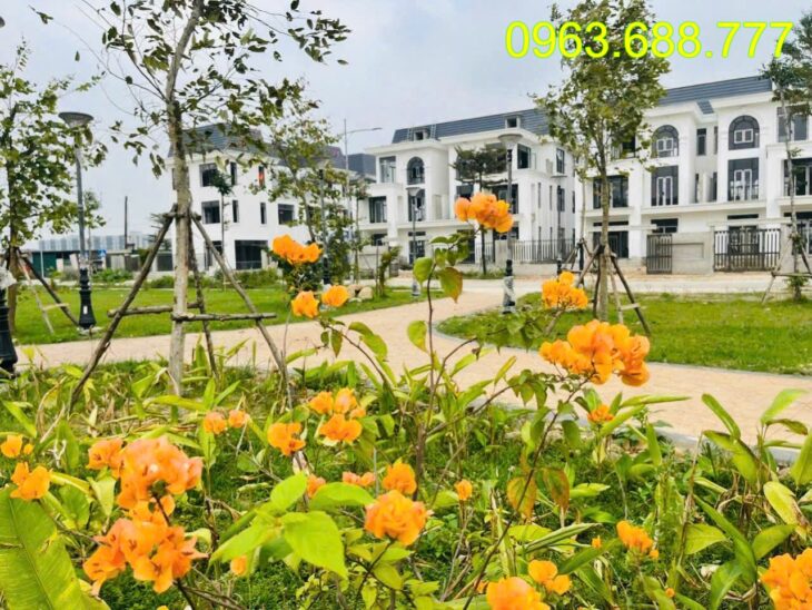 Bán BT HUD Mê Linh 70 tr/m. Ân hạn gốc 5 năm.