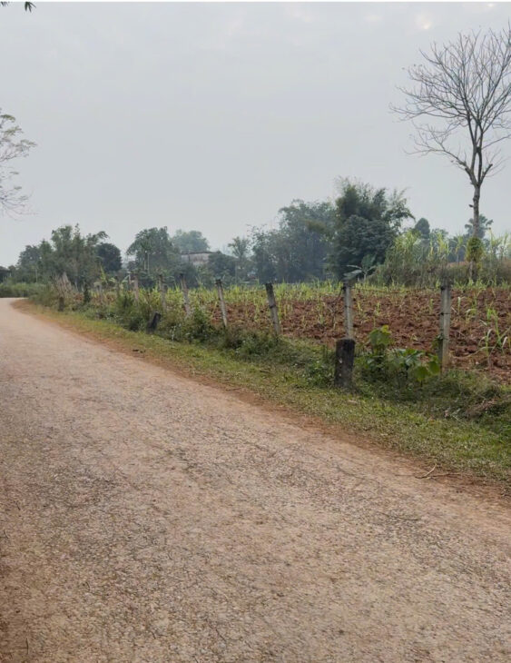 ĐẤT ĐẸP – GIÁ TỐT – Vị Trí Đắc Địa Tại Xóm Chuông, Xã Mỹ Hoà, Huyện Tân Lạc, Tỉnh Hoà Bình