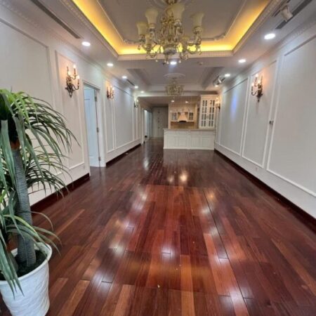 CHÍNH CHỦ CẦN BÁN CHCC CAO CẤP KHU ROYAL CITY CHÍNH CHỦ CẦN BÁN CHCC CAO CẤP KHU ROYAL CITY