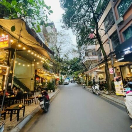 Phố Cafe Nguyên Hồng – ô tô tránh – vỉa hè – 55m chỉ 27 tỷ